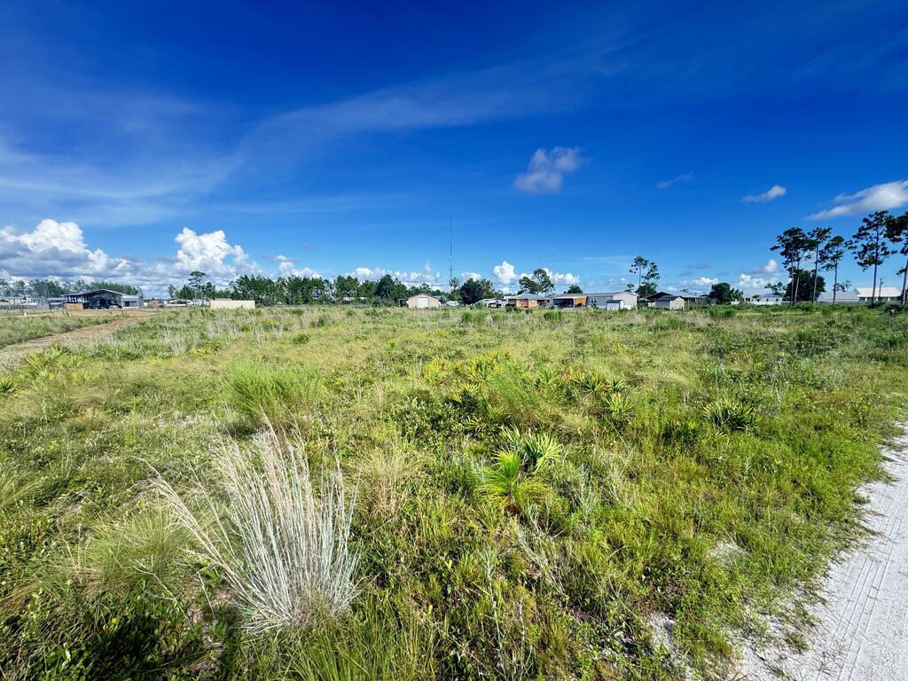 329173 Photo 3