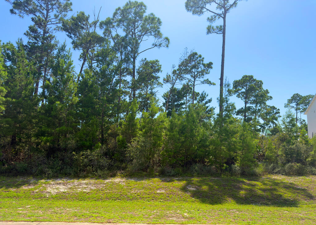 329175 Photo 2