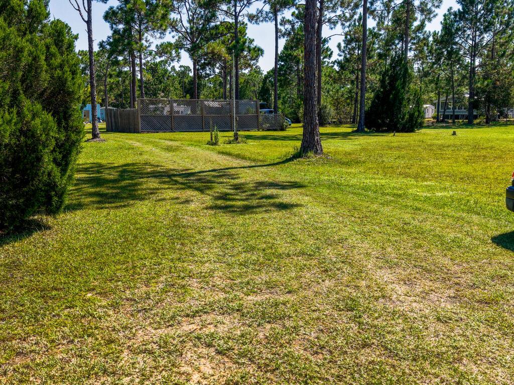 329178 Photo 1