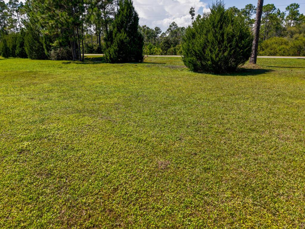 329178 Photo 2