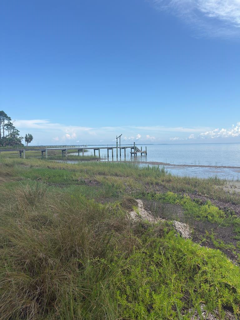 329189 Photo 1