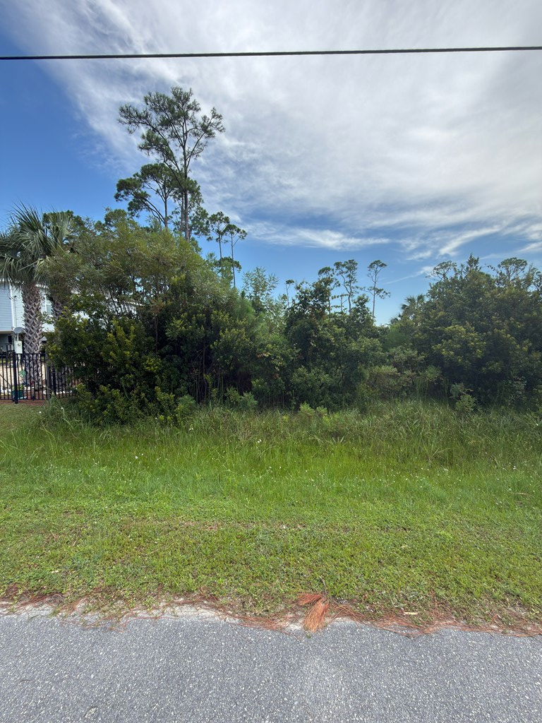 329189 Photo 2