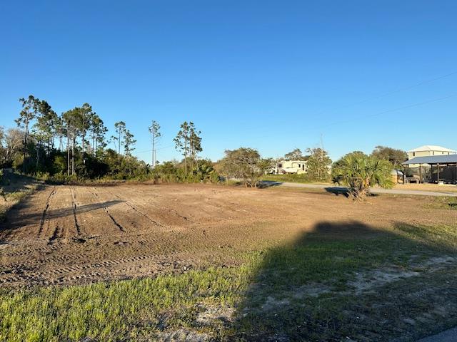 329205 Photo 1