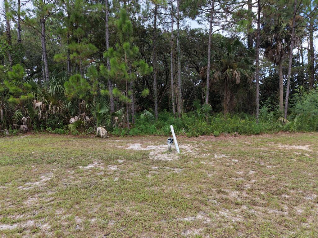 329270 Photo 2
