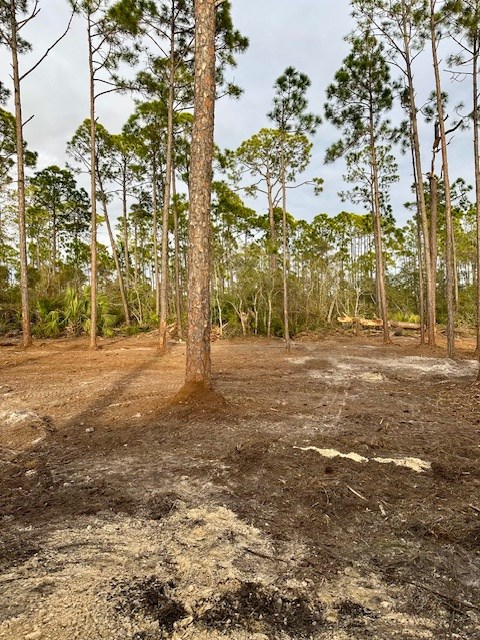 329340 Photo 2