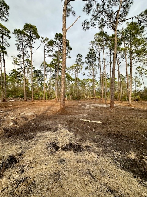 329340 Photo 3