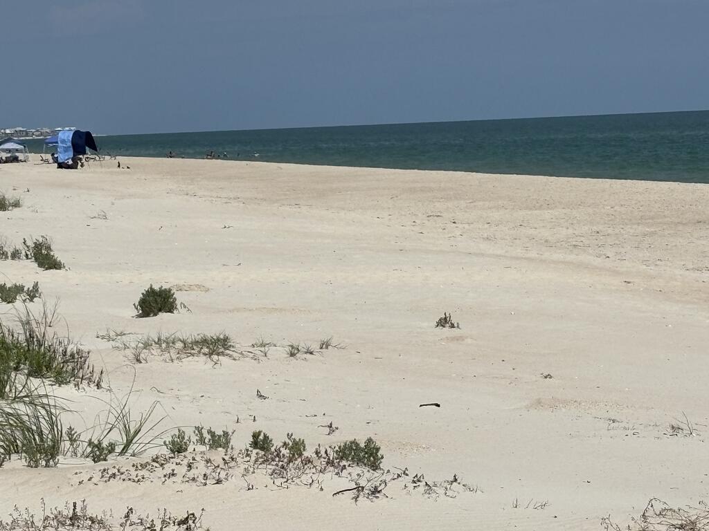 329362 Photo 1