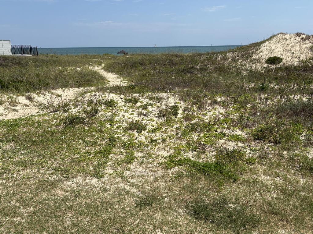 329362 Photo 2