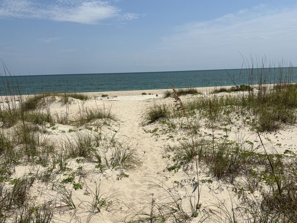 329362 Photo 3