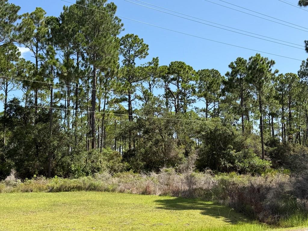 329402 Photo 1