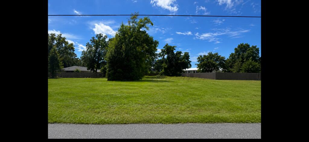 329405 Photo 2