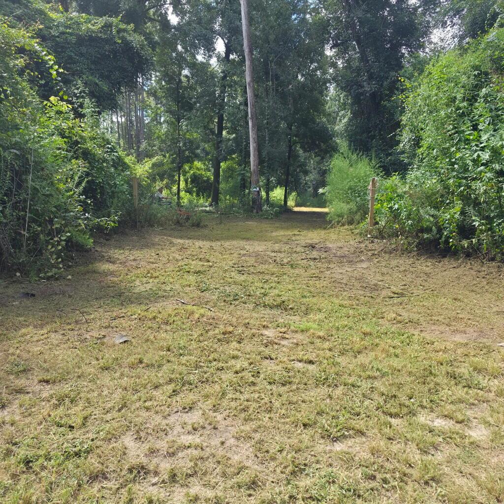 329448 Photo 1