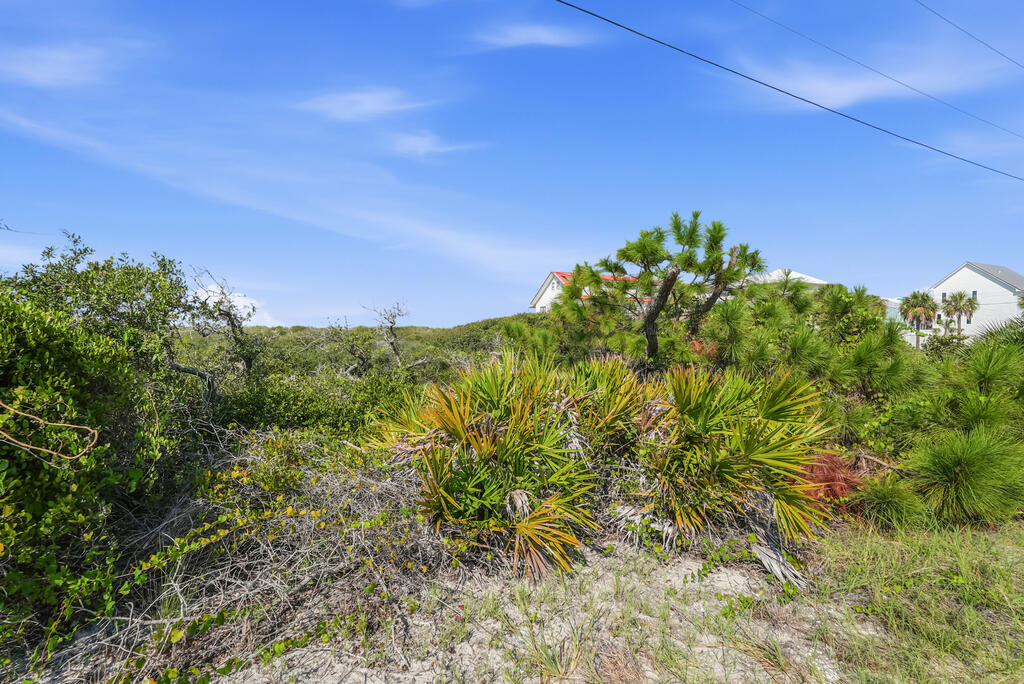 329530 Photo 2