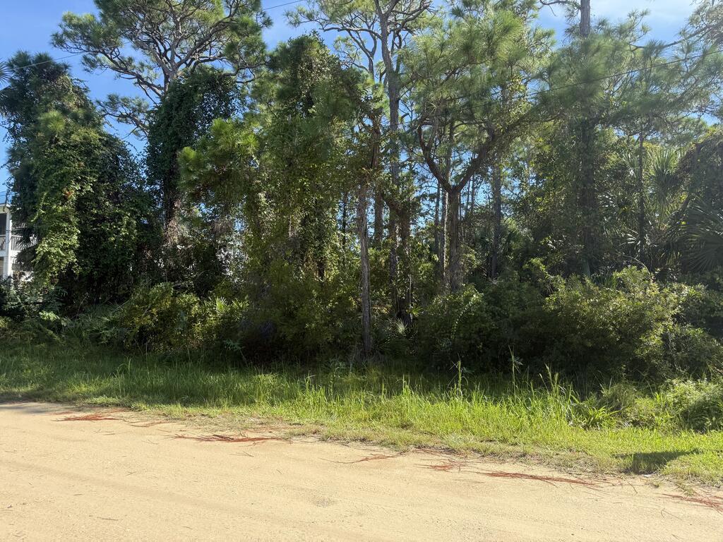 329540 Photo 1
