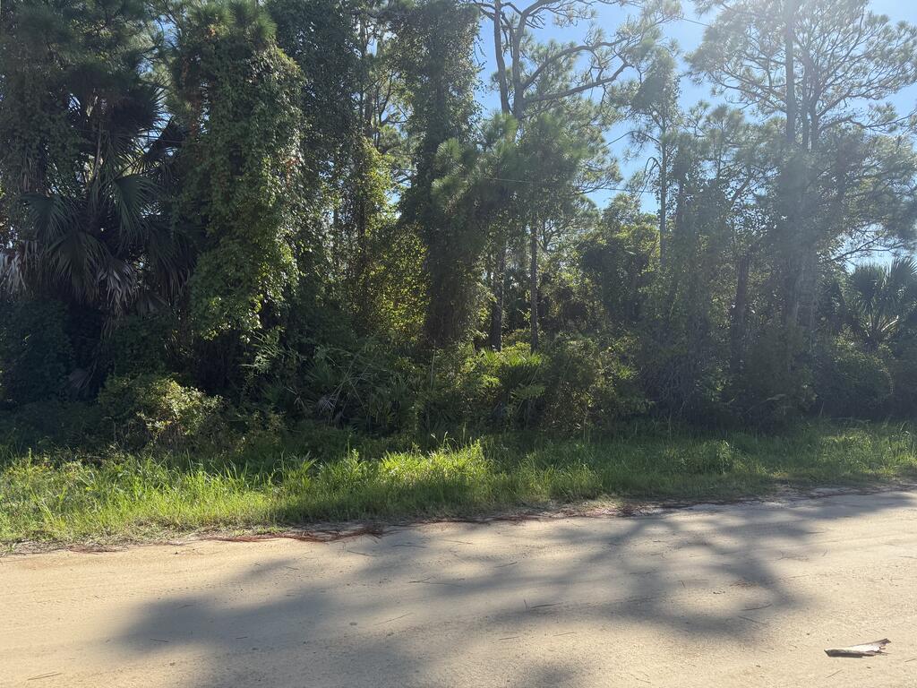 329540 Photo 3