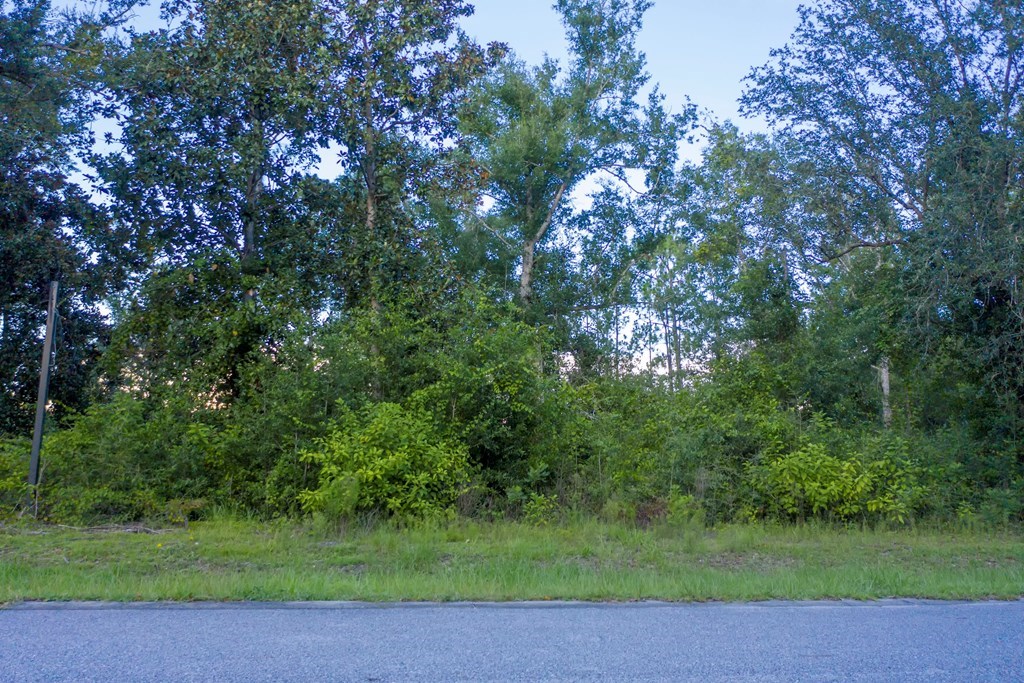 329554 Photo 2