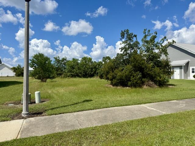 329609 Photo 3