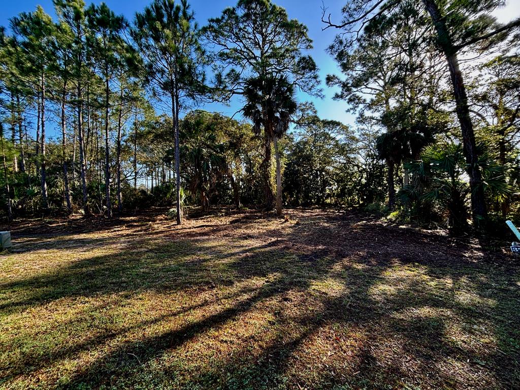 329623 Photo 1
