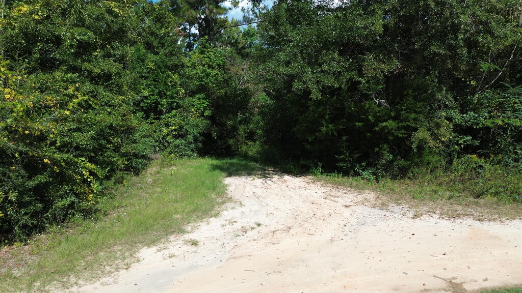 329673 Photo 1
