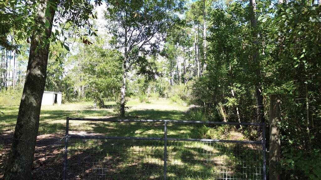 329674 Photo 1