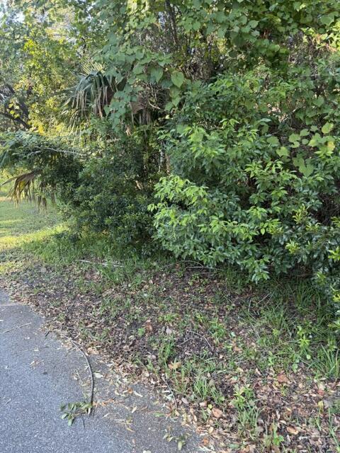 329680 Photo 2