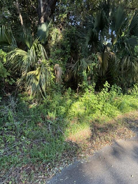 329680 Photo 3