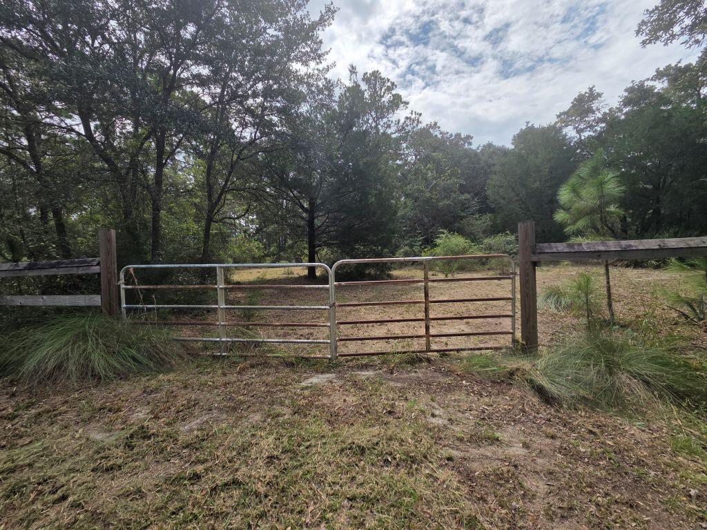 329708 Photo 1