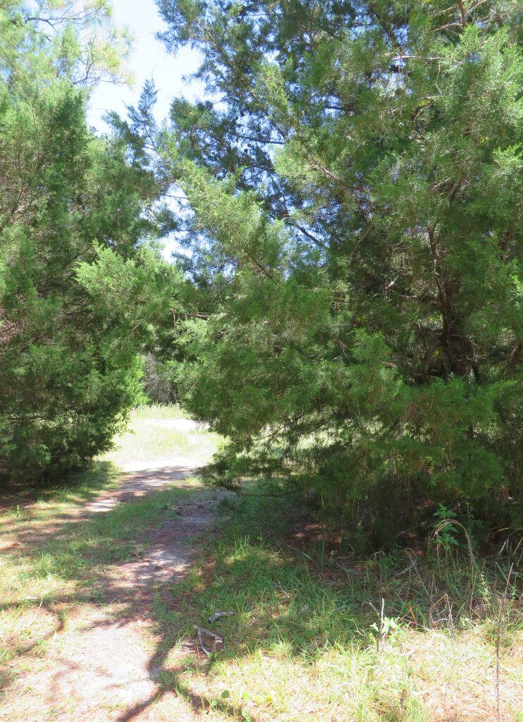 329708 Photo 2